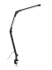 Светильник настольный Anatomica Smart-416 черный